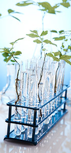 emballages agrochimie