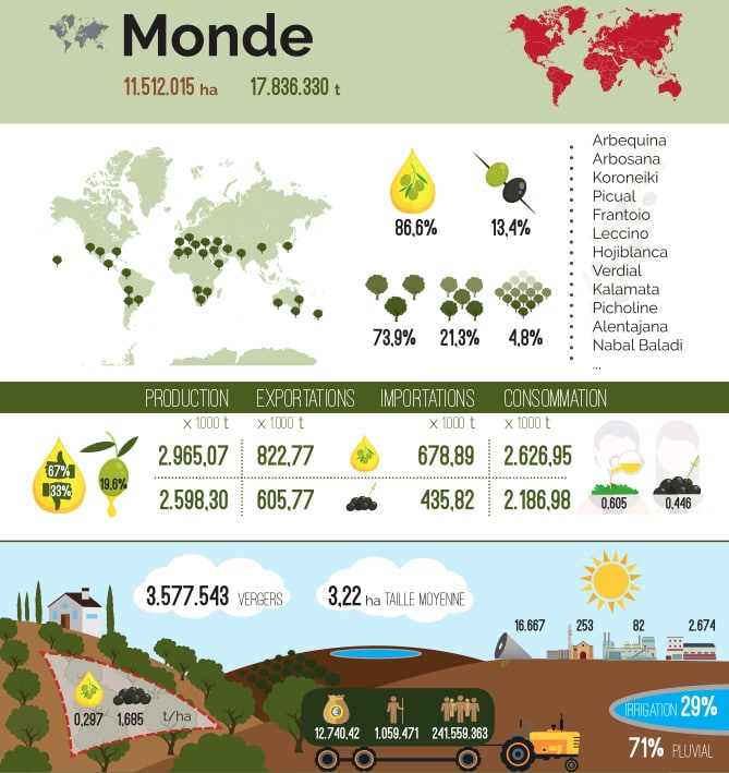 statistiques huile d'olive 2021